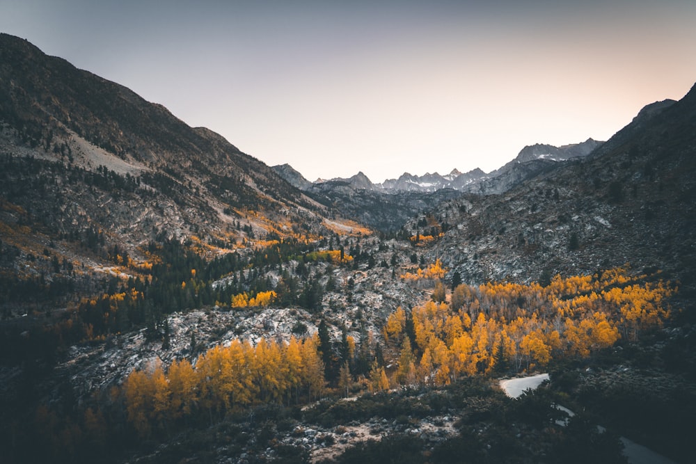 green trees surrounded with mountain during daytime