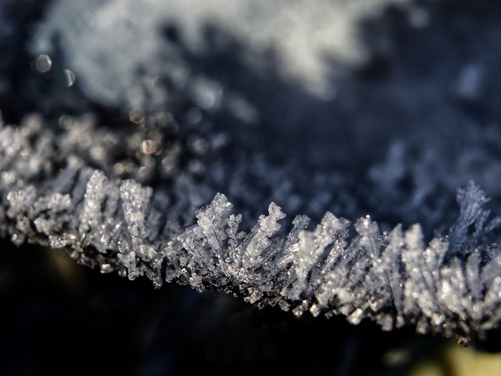 selective focus phot of icicles