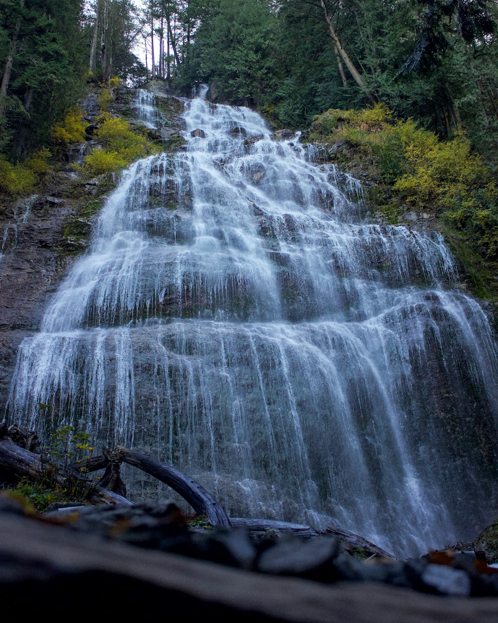 waterfall between plants and trees