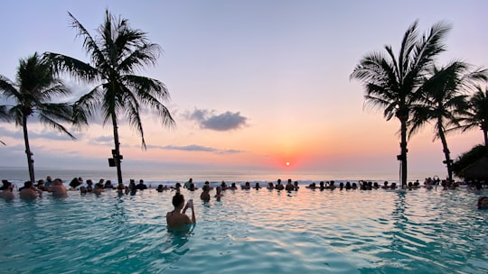 coconut palms and swimming pool facing ocean in Seminyak Indonesia