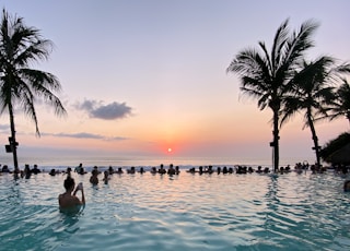 coconut palms and swimming pool facing ocean