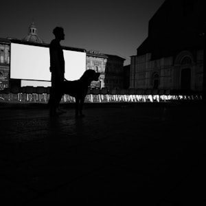 A silhouette of a person and a dog standing in front of an outdoor cinema setup. The image is predominantly in black and white, highlighting the dark figures against a backdrop of chairs and an architectural building. The scene appears to be set during dusk or dawn, adding dramatic effects to the shadow play.