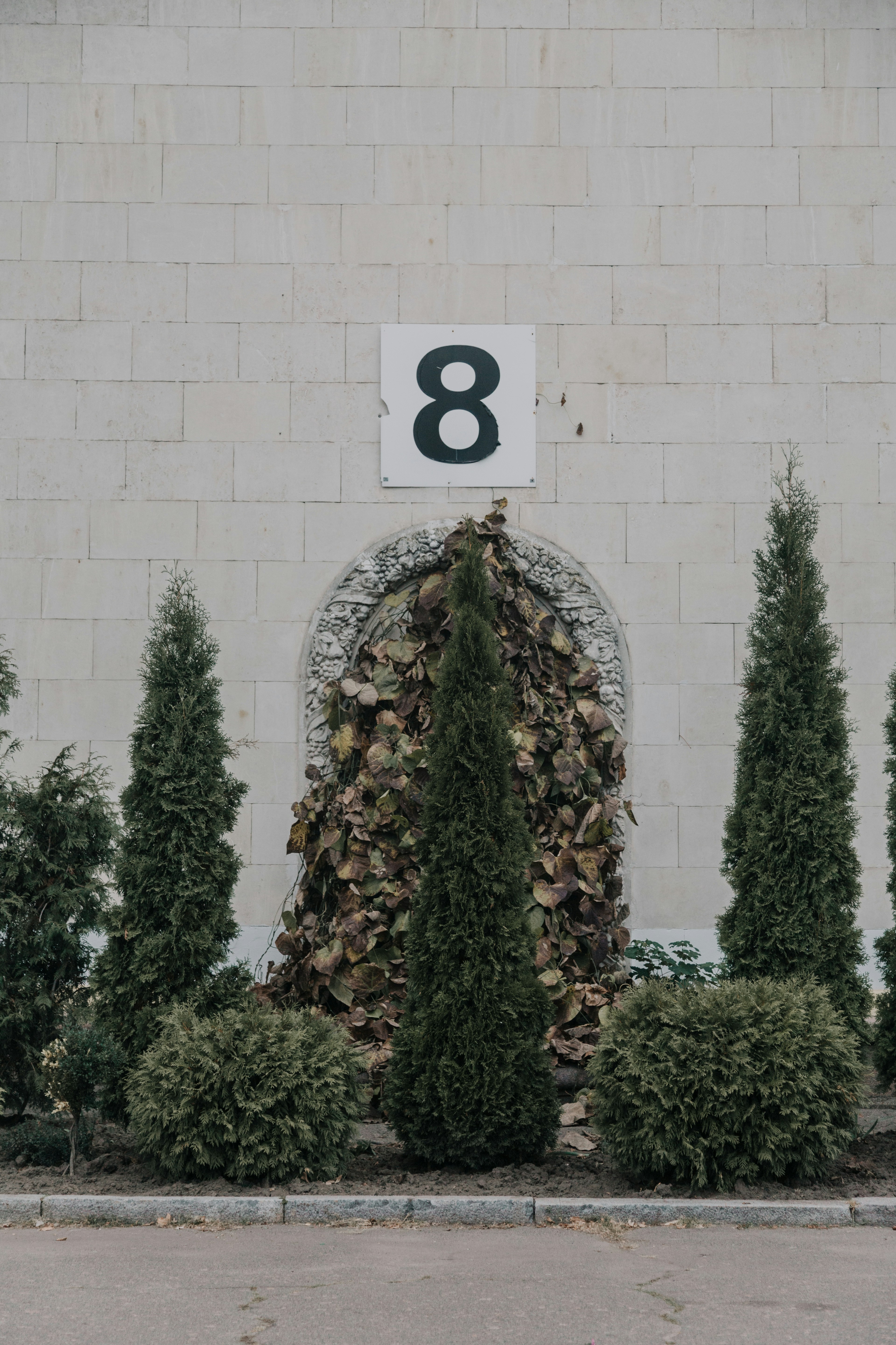 photo-1571985360774-c0a8c77ea7cd?ixid=M3wxMjA3fDB8MXxzZWFyY2h8MTR8fDQzMXlhbnJ8ZW58MHx8fHwxNzU0MzI4NjkyfDA\u0026ixlib=rb-4.1.0