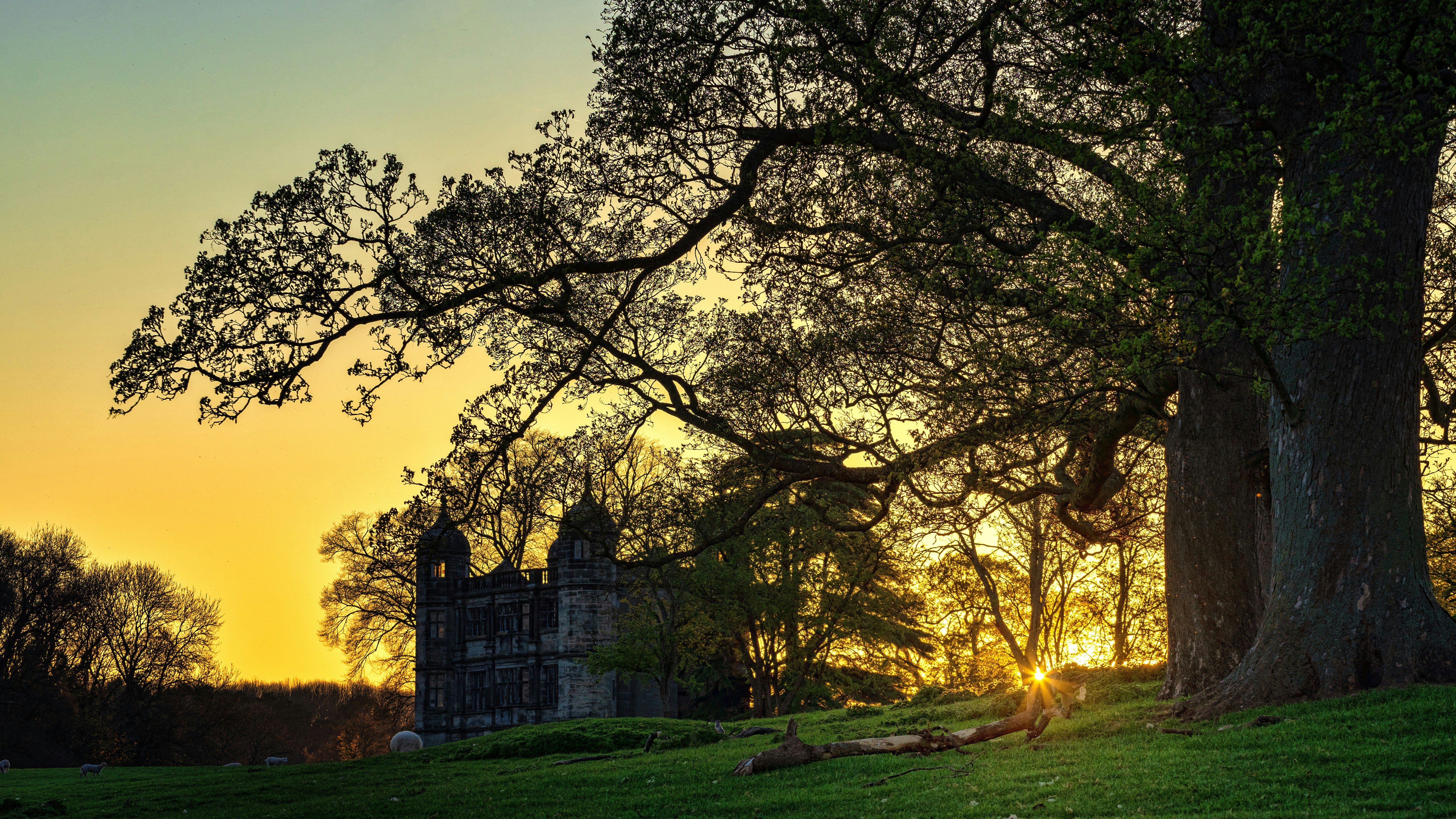 Oak Tree Park