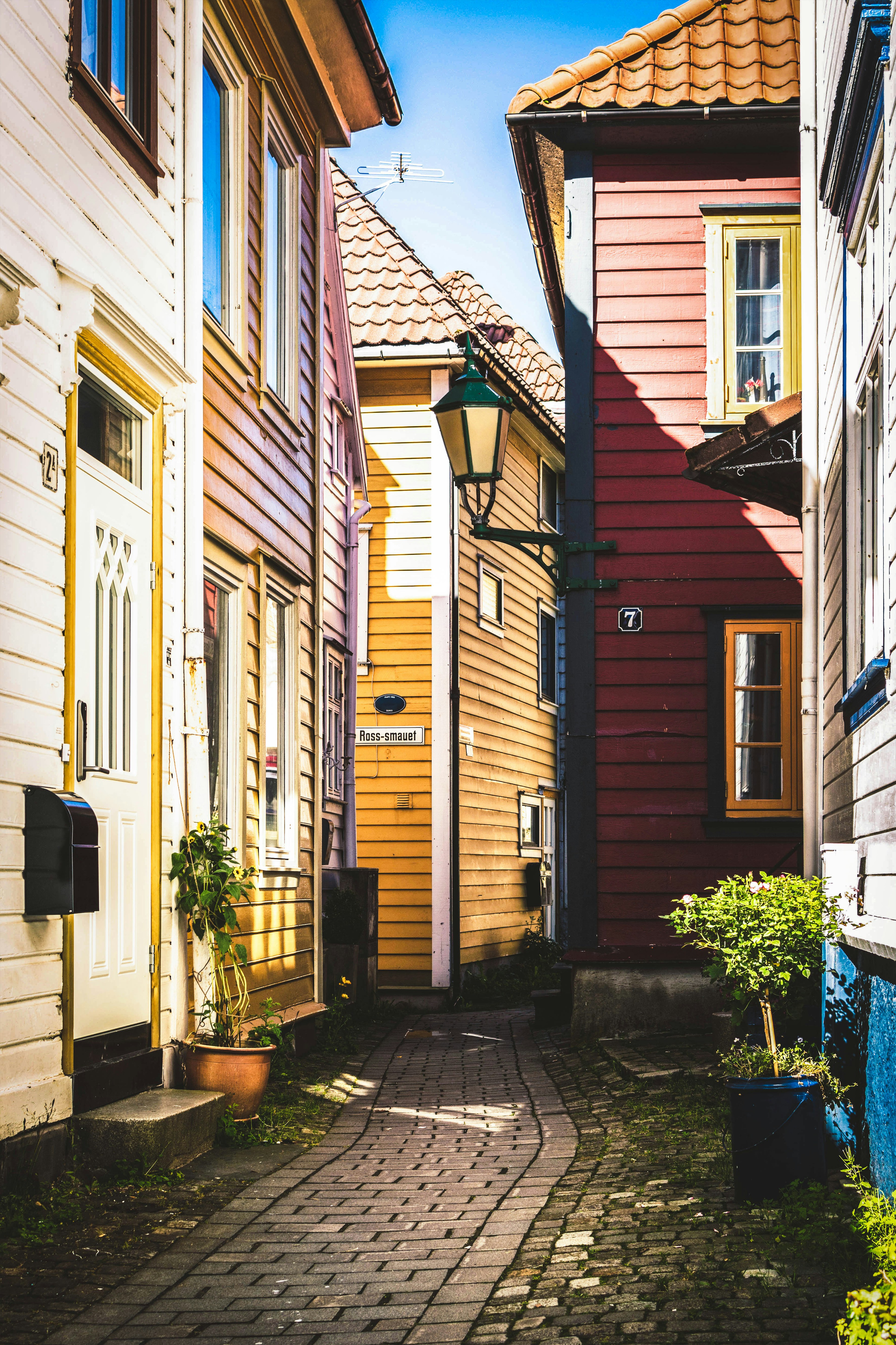 empty pathway between houses