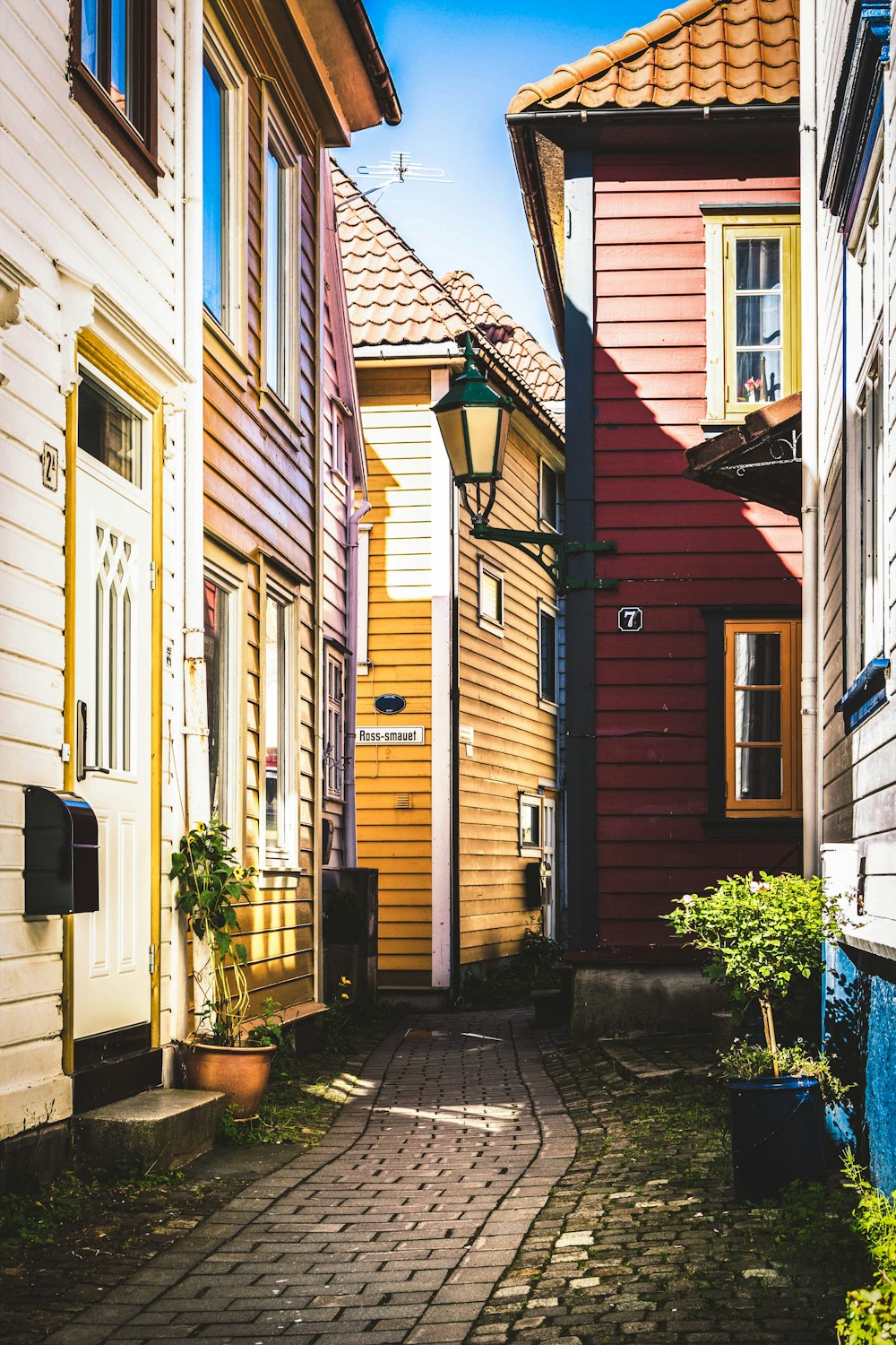 empty pathway between houses