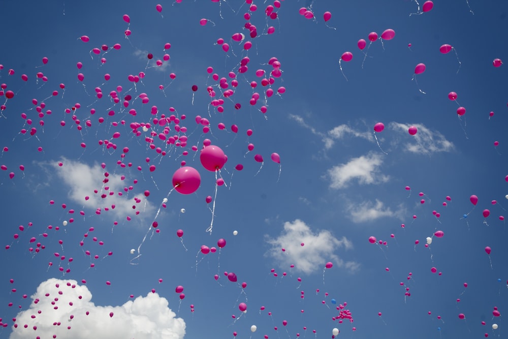 pink balloon lot on air during daytime