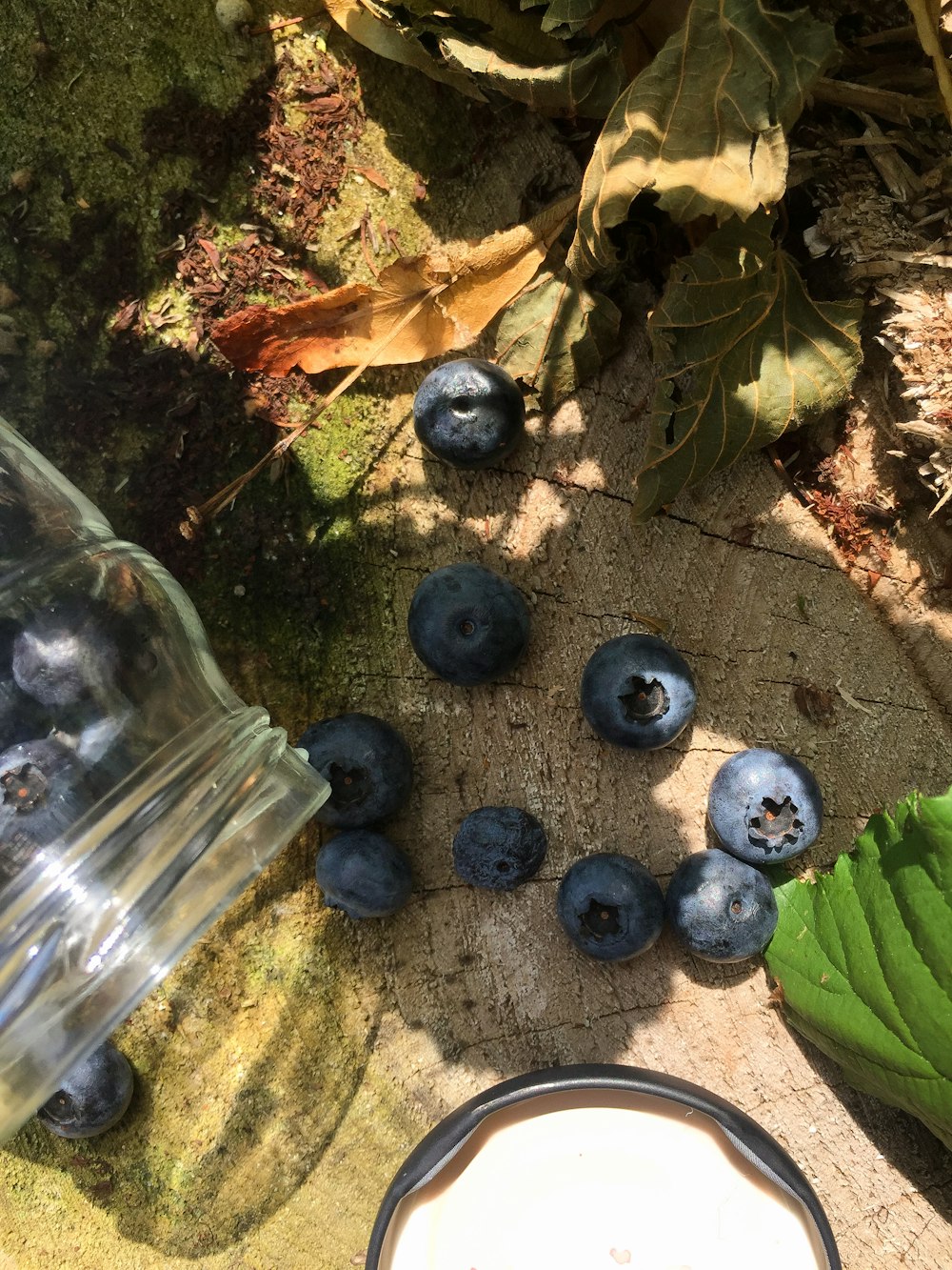 blue berries near cut glass