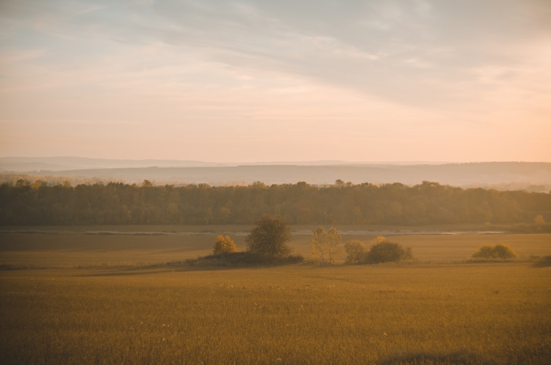 geeenf ields during golden hour