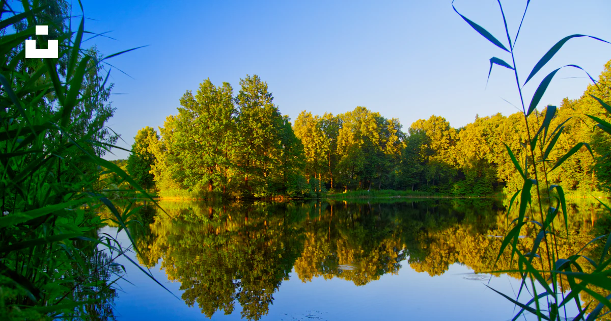 Reflection of trees on body of water underblue sky photo – Free Land ...
