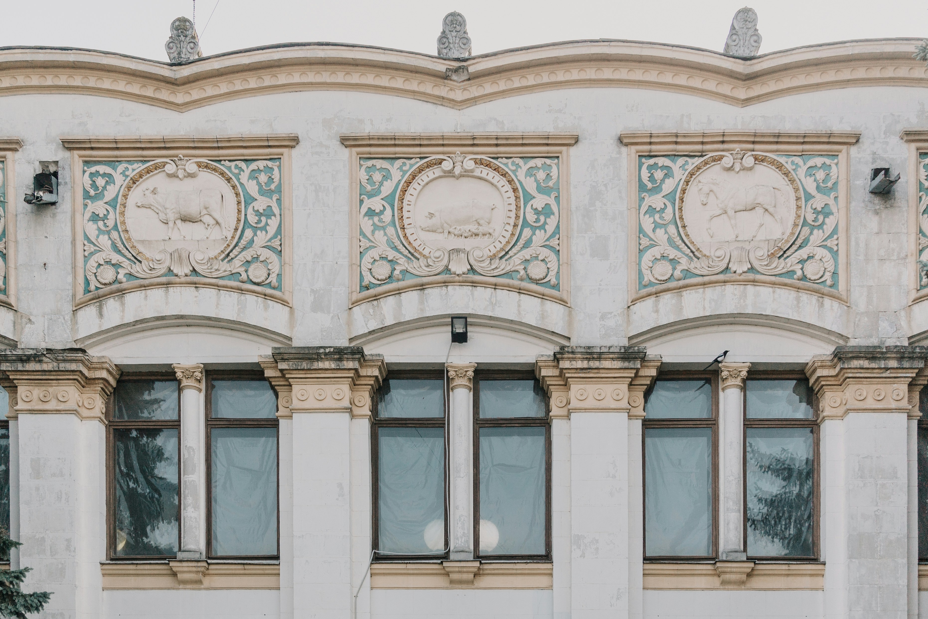 Photo by marjan_blan