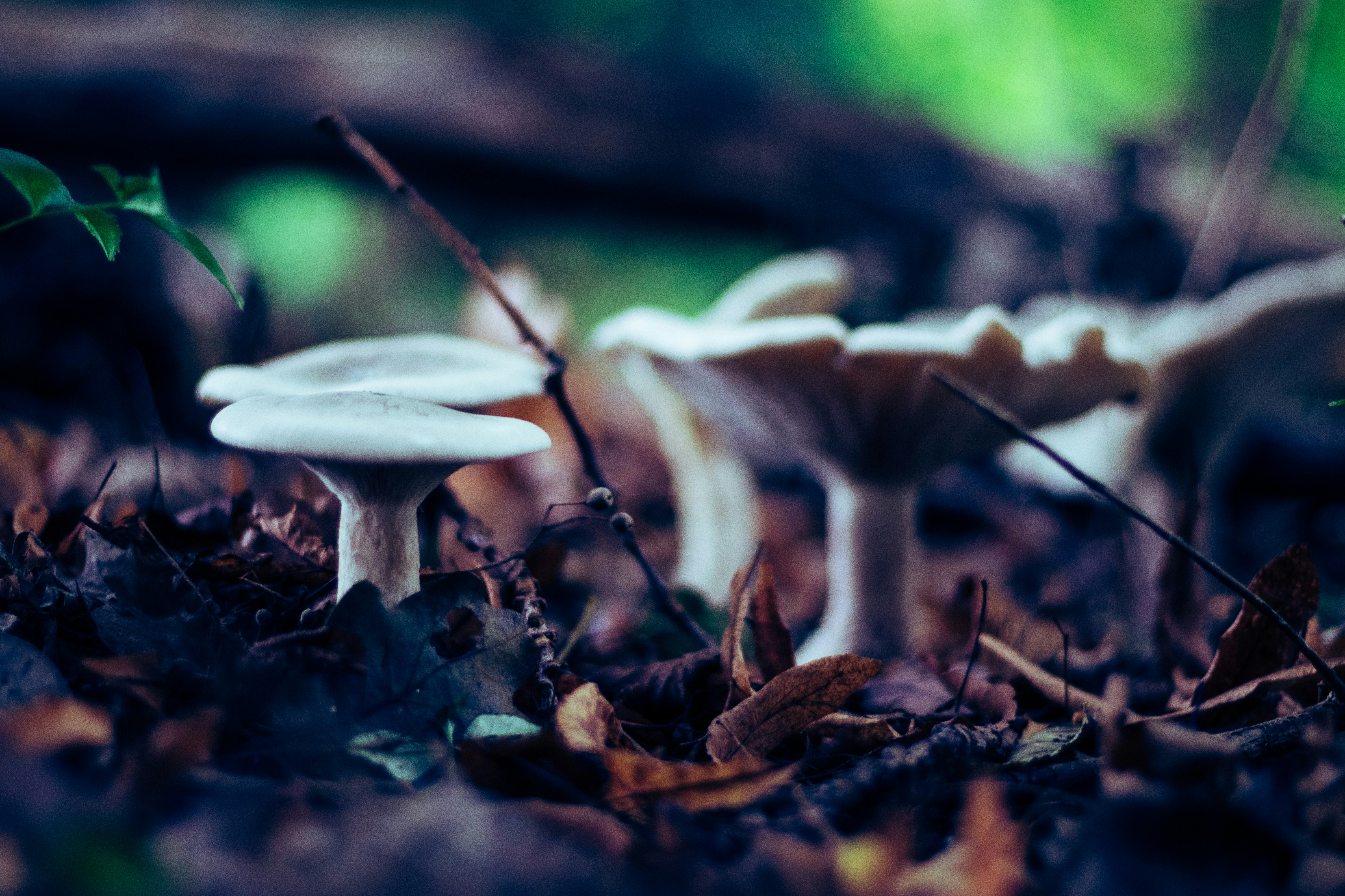 Photo by luzentefotografie