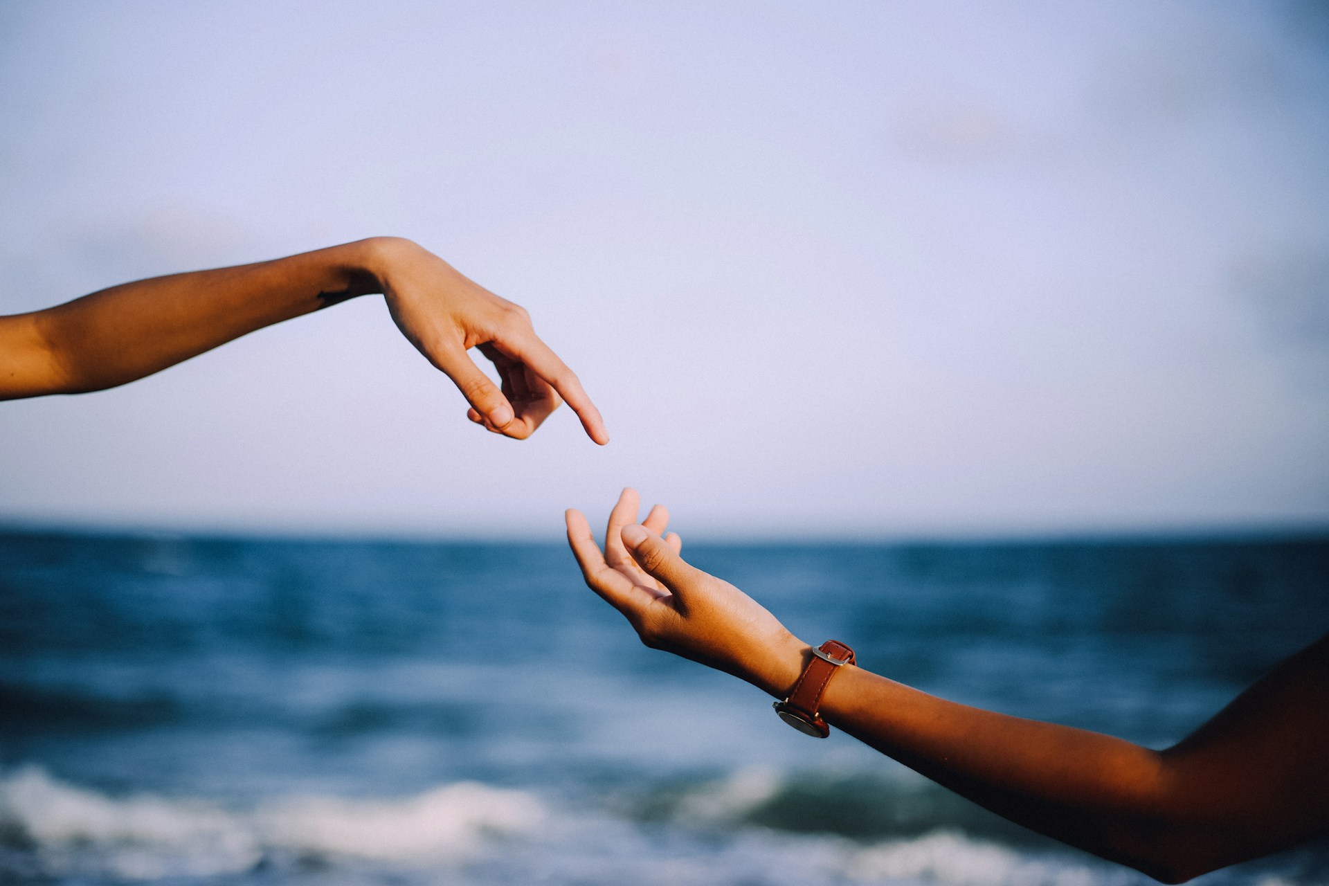 two person holding hands photograph