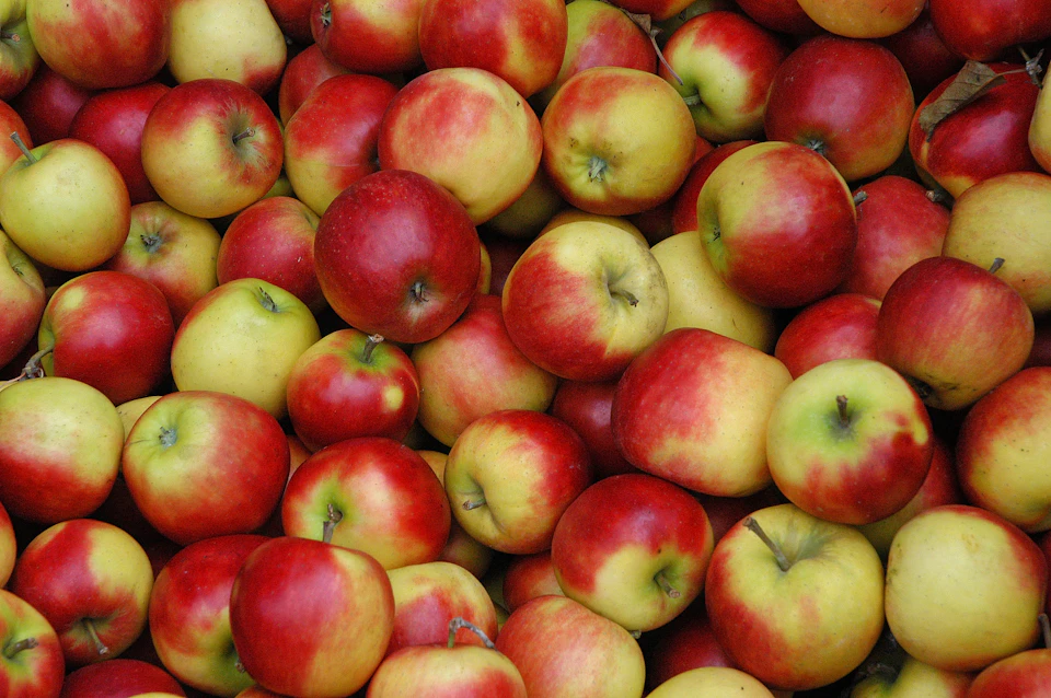 The image shows a close-up view of a pile of approximately 30 apples, all of which are red and yellow in color. The apples vary in size and shape, with some being larger than others. They are arranged in a way that fills the entire frame, creating a sense of abundance and freshness.