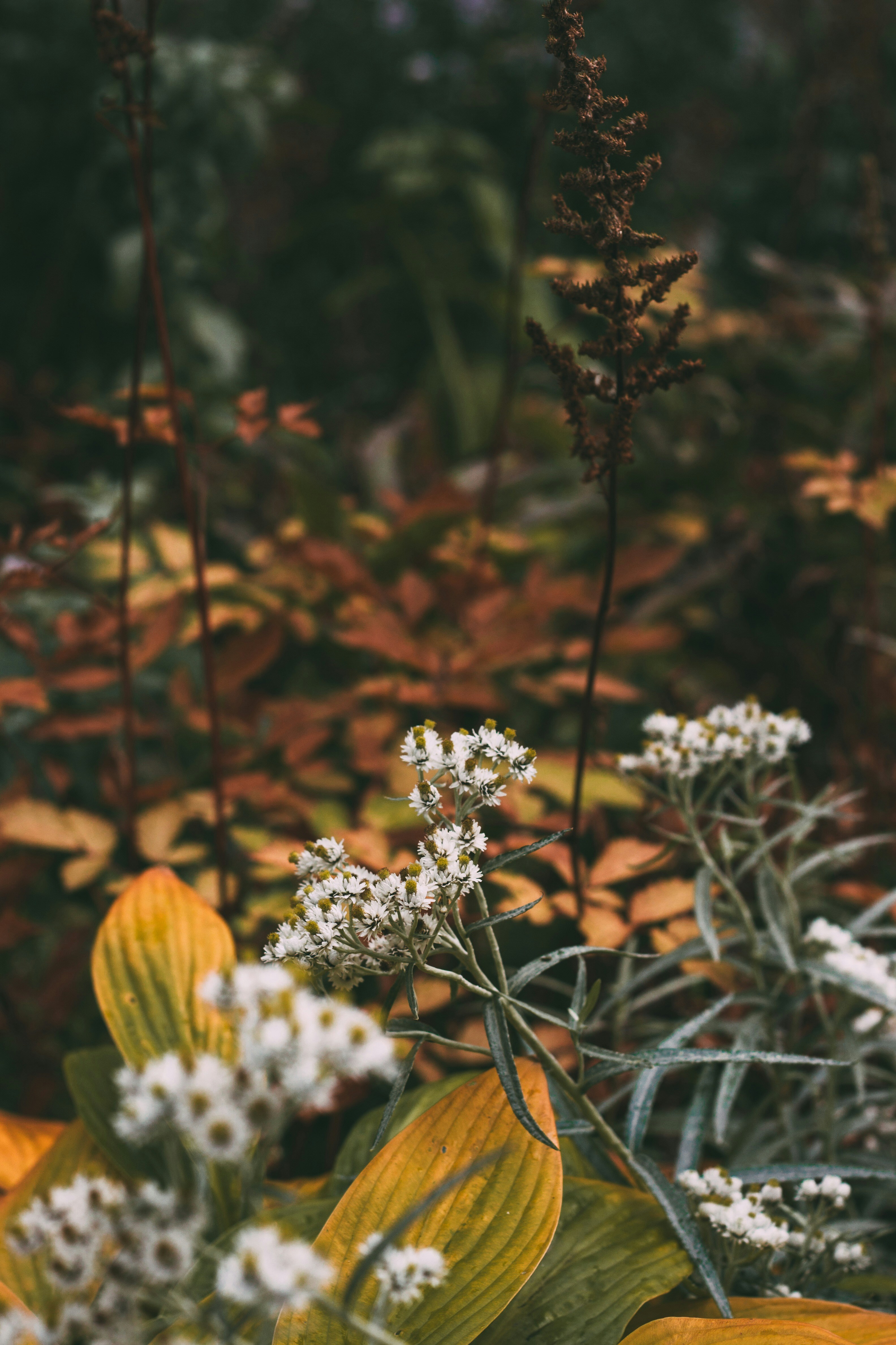 Photo by rolig_basseng