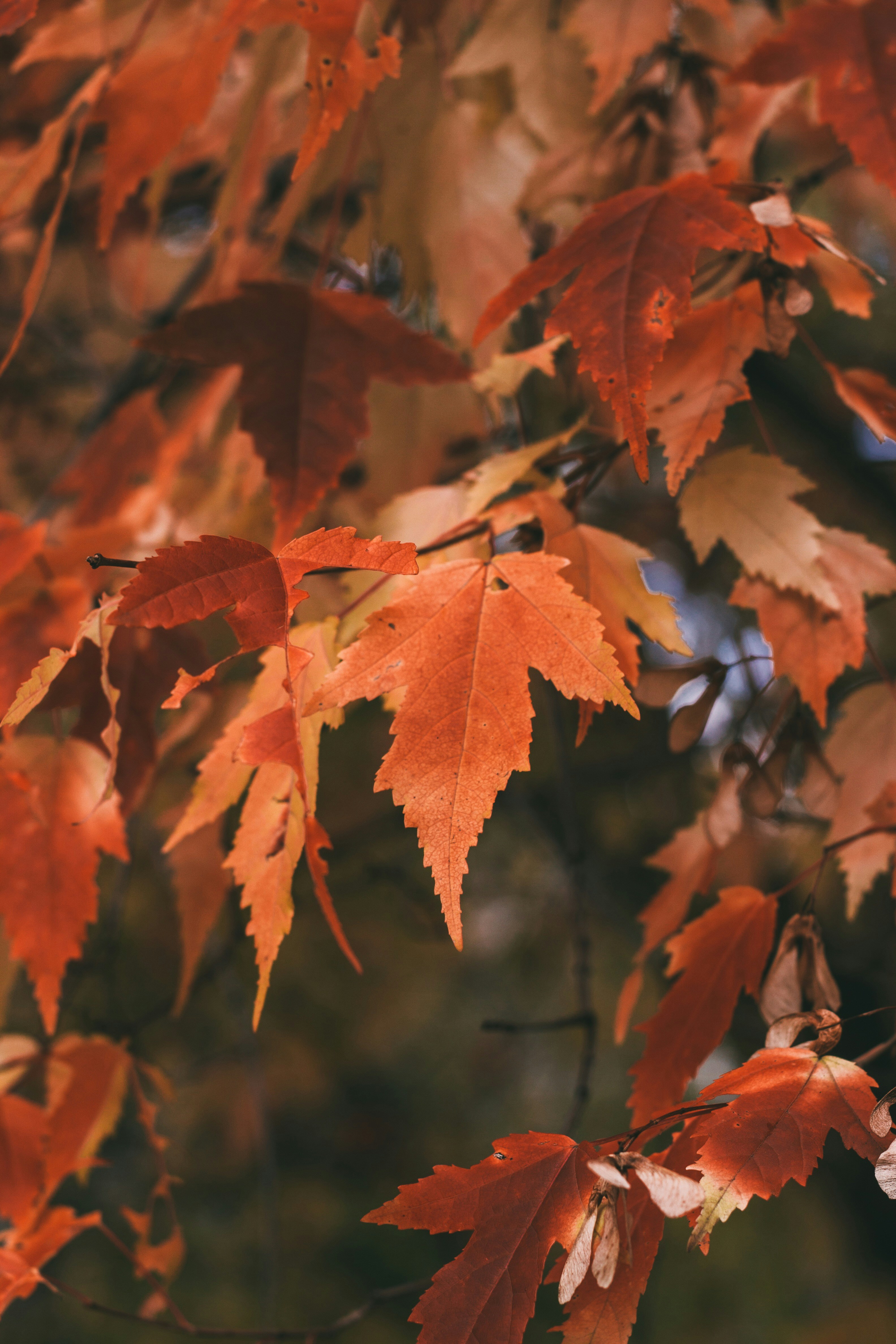 Photo by rolig_basseng