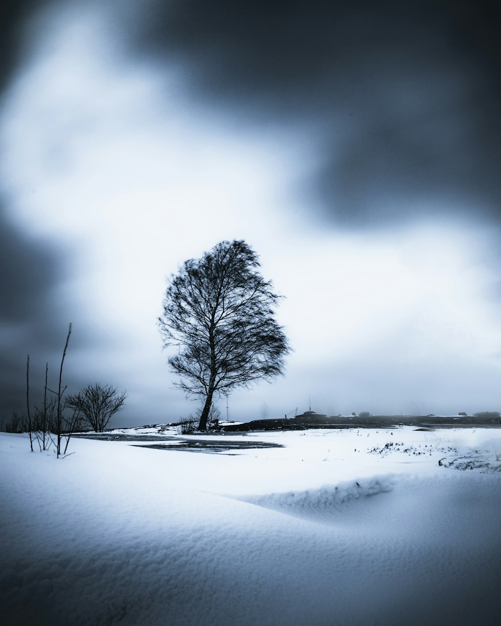 a lone tree in a snowy field under a cloudy sky
