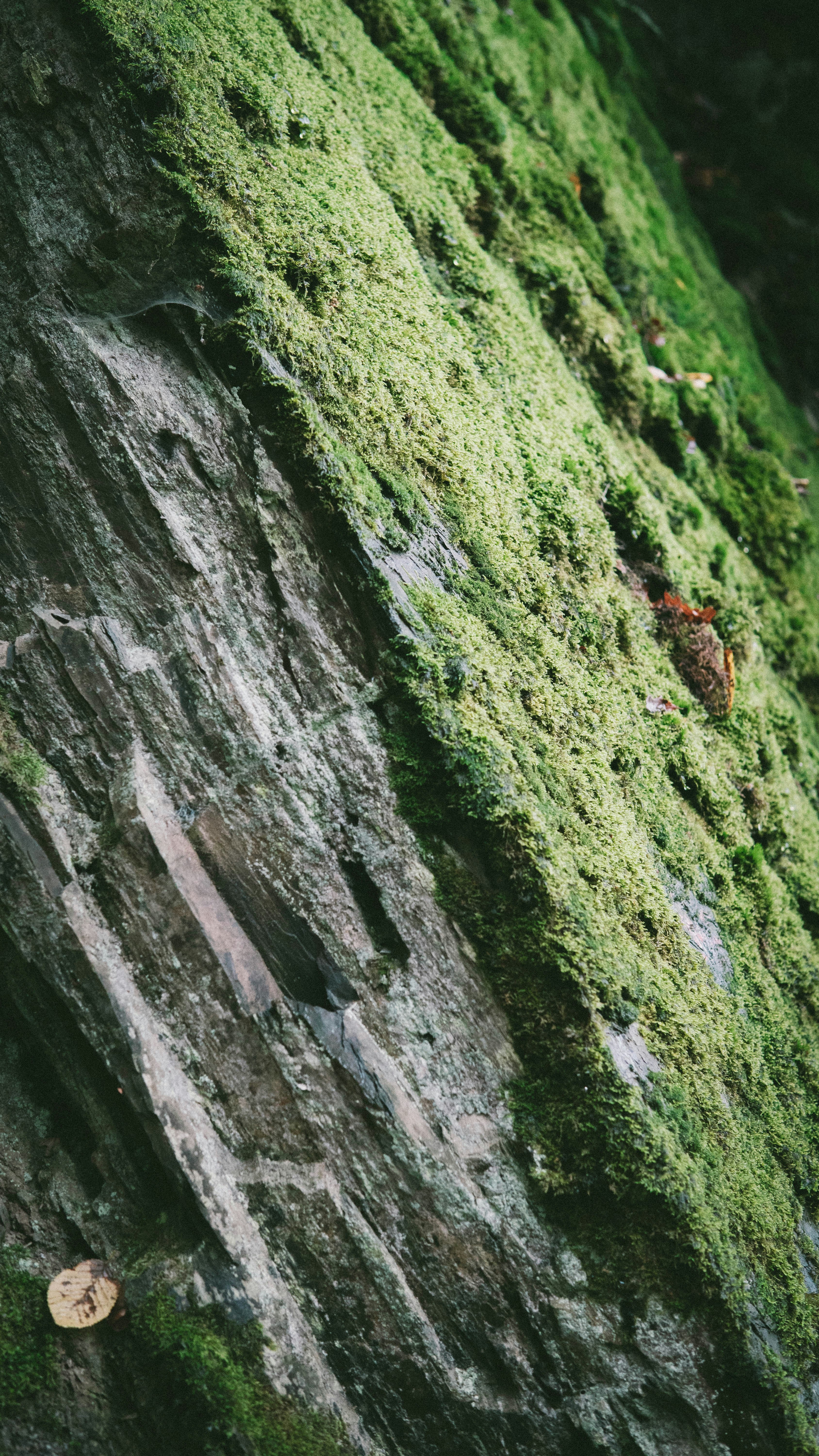 Photo by filmmakingmichels