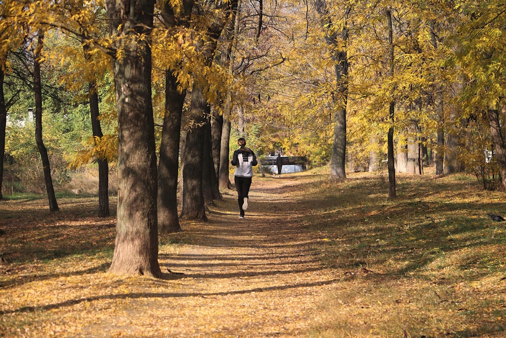 man running beside trees during daytime