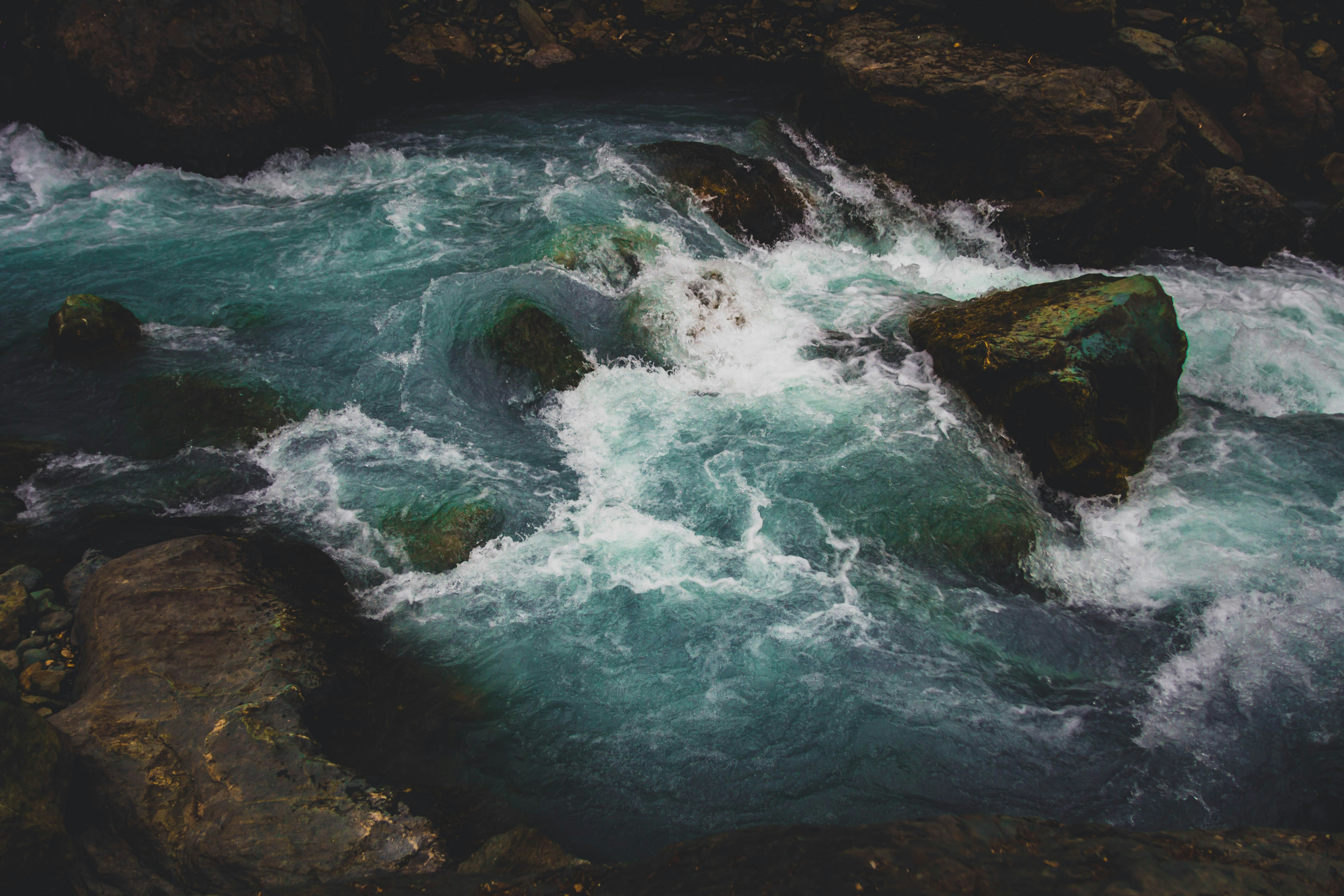 Photo by goddamnitsheikh11