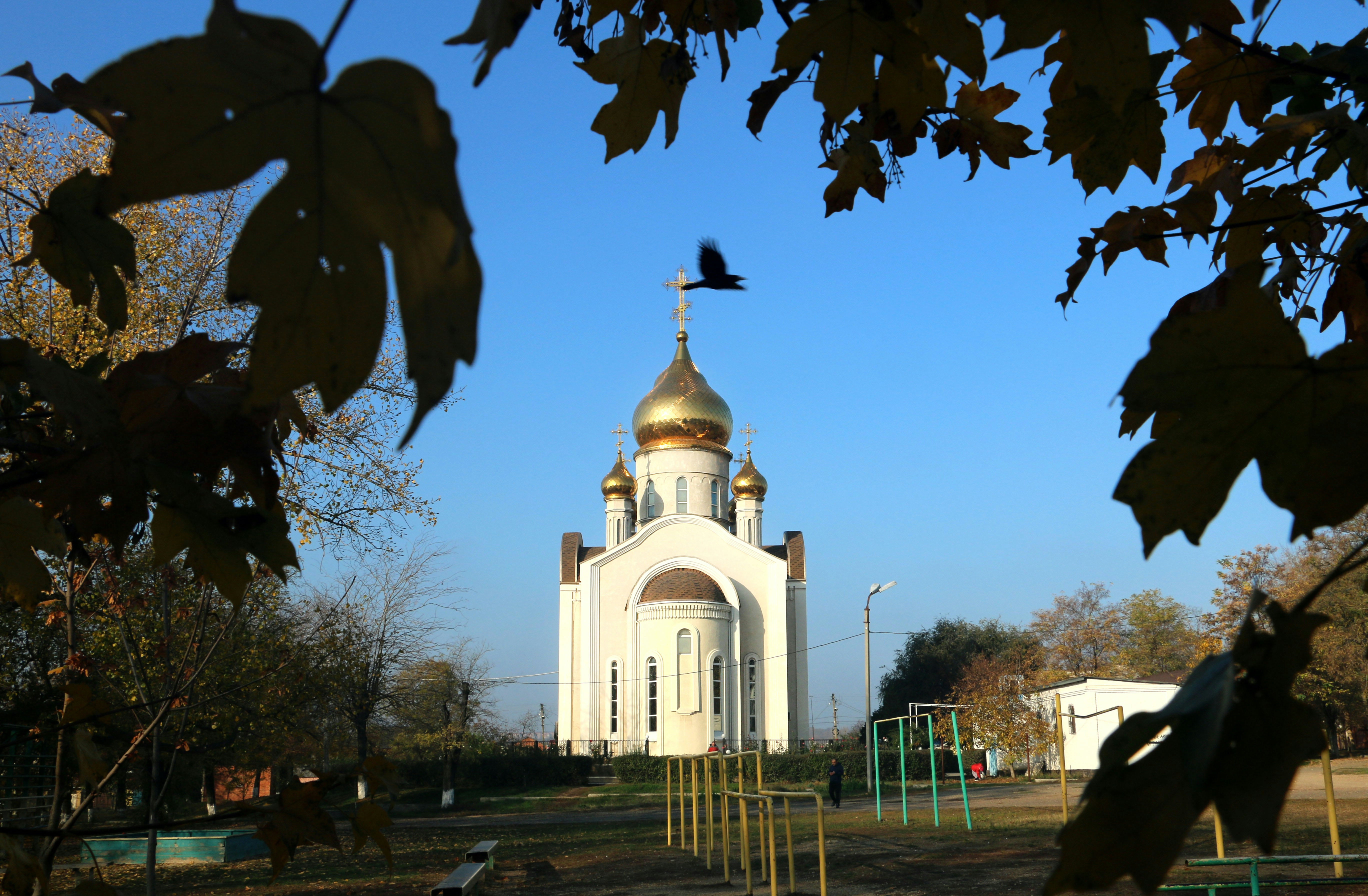 white and brown building