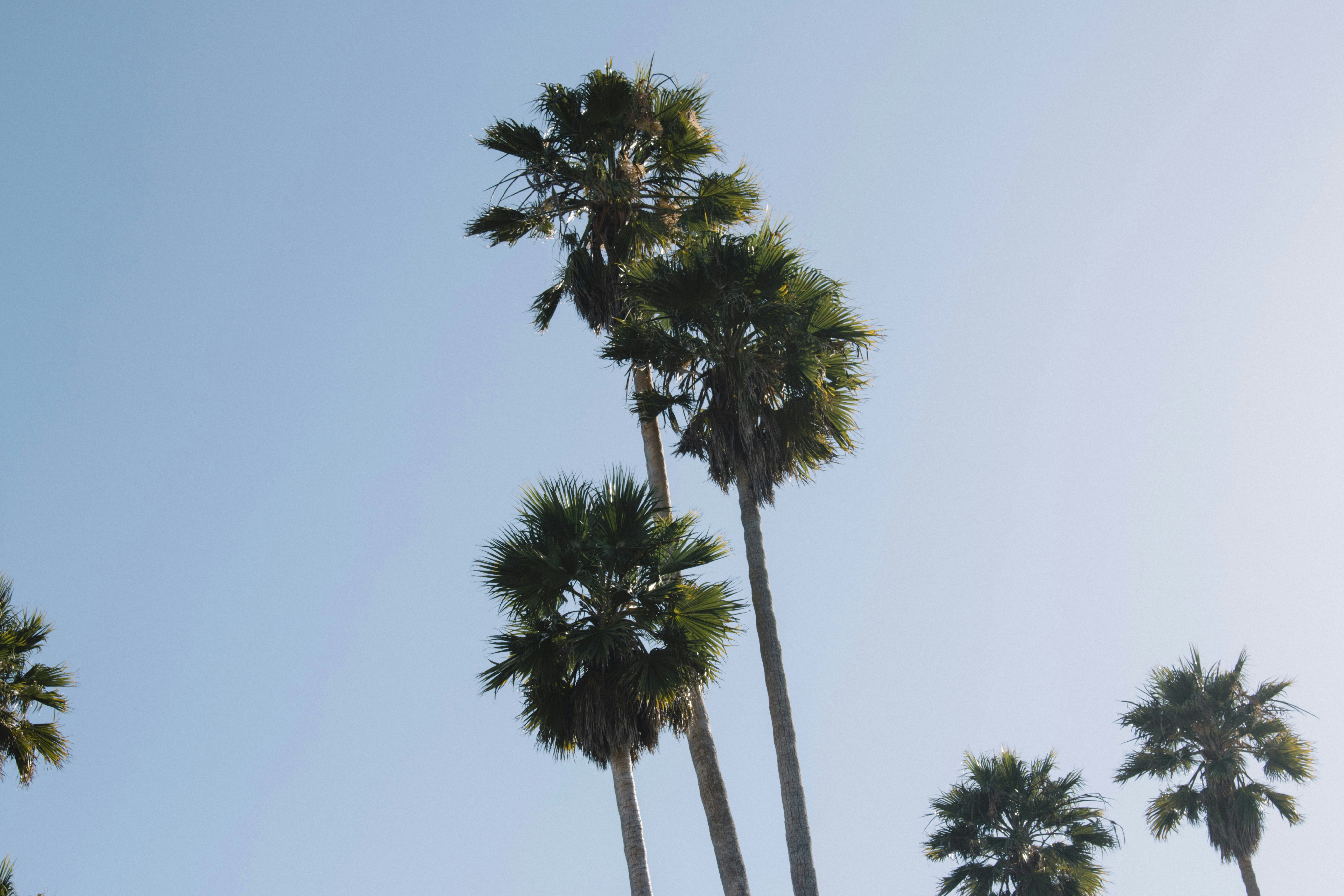 Photo by jamesbutterly