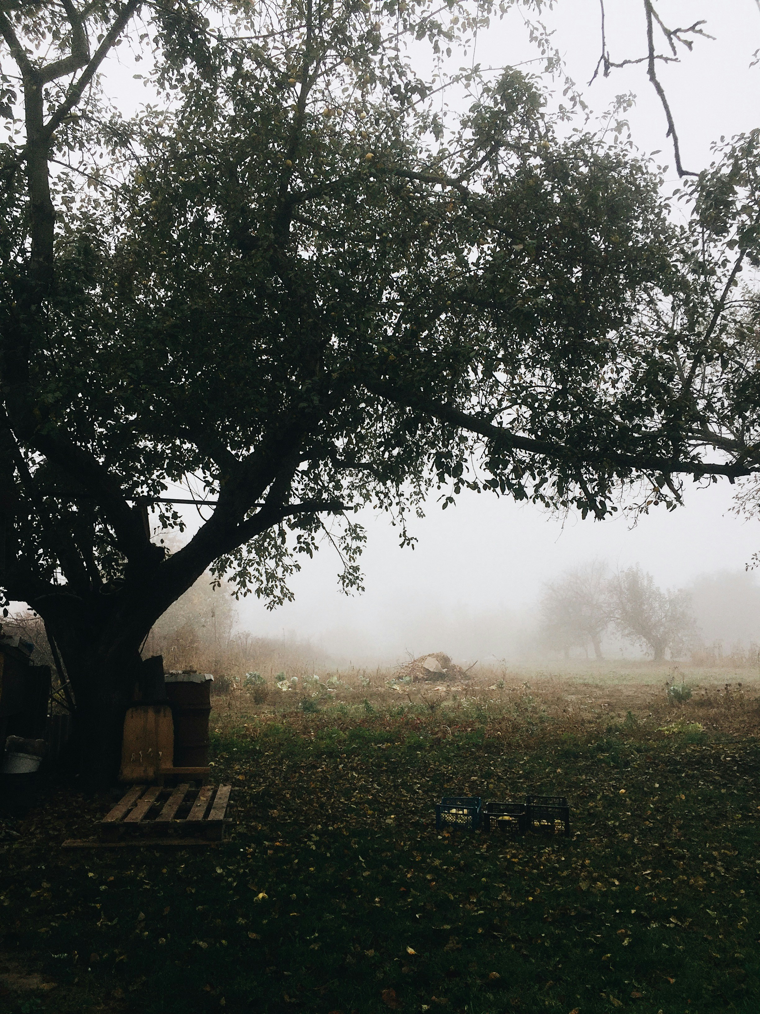 Photo by igor_ivoninskyi