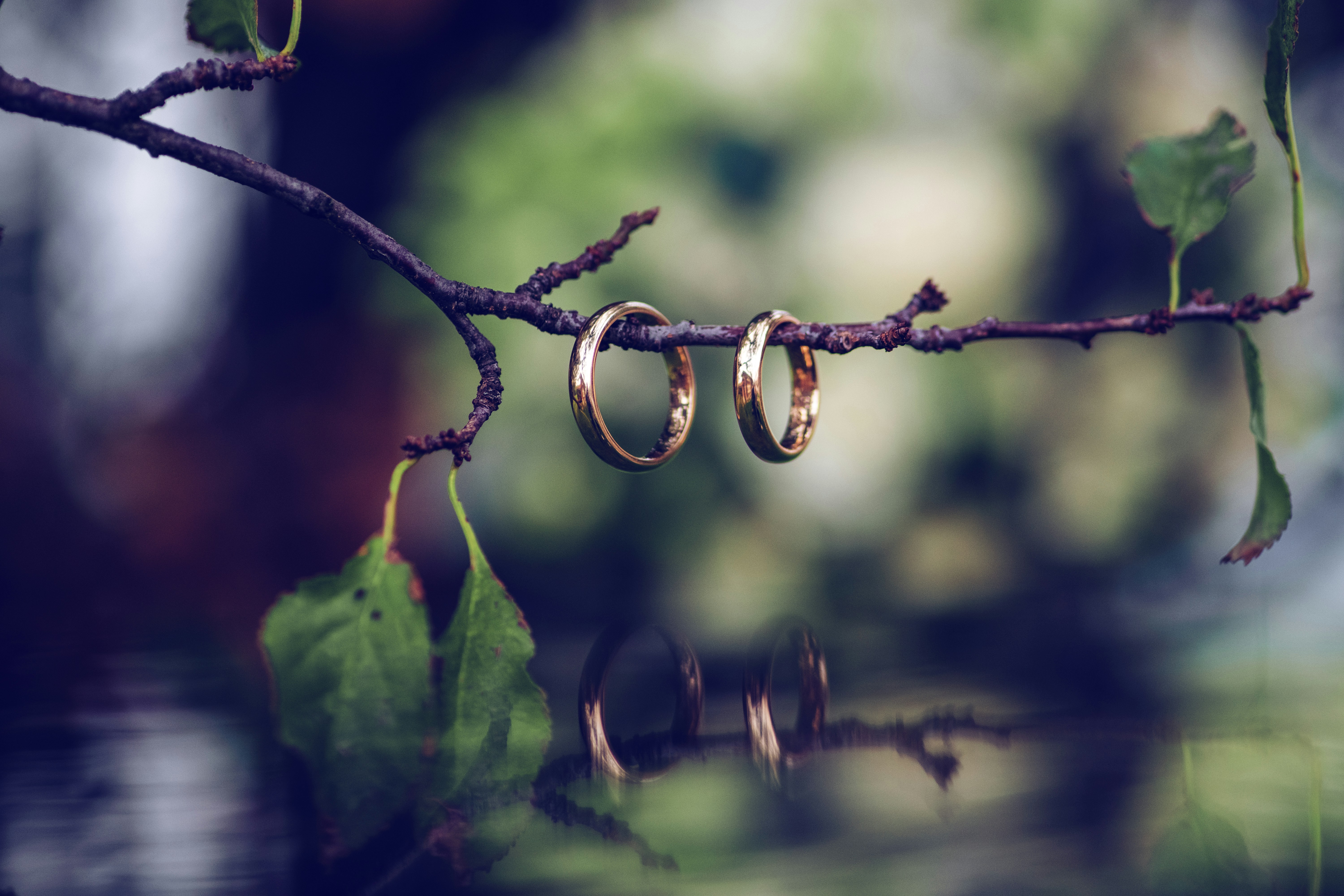 Photo by bijeiti
