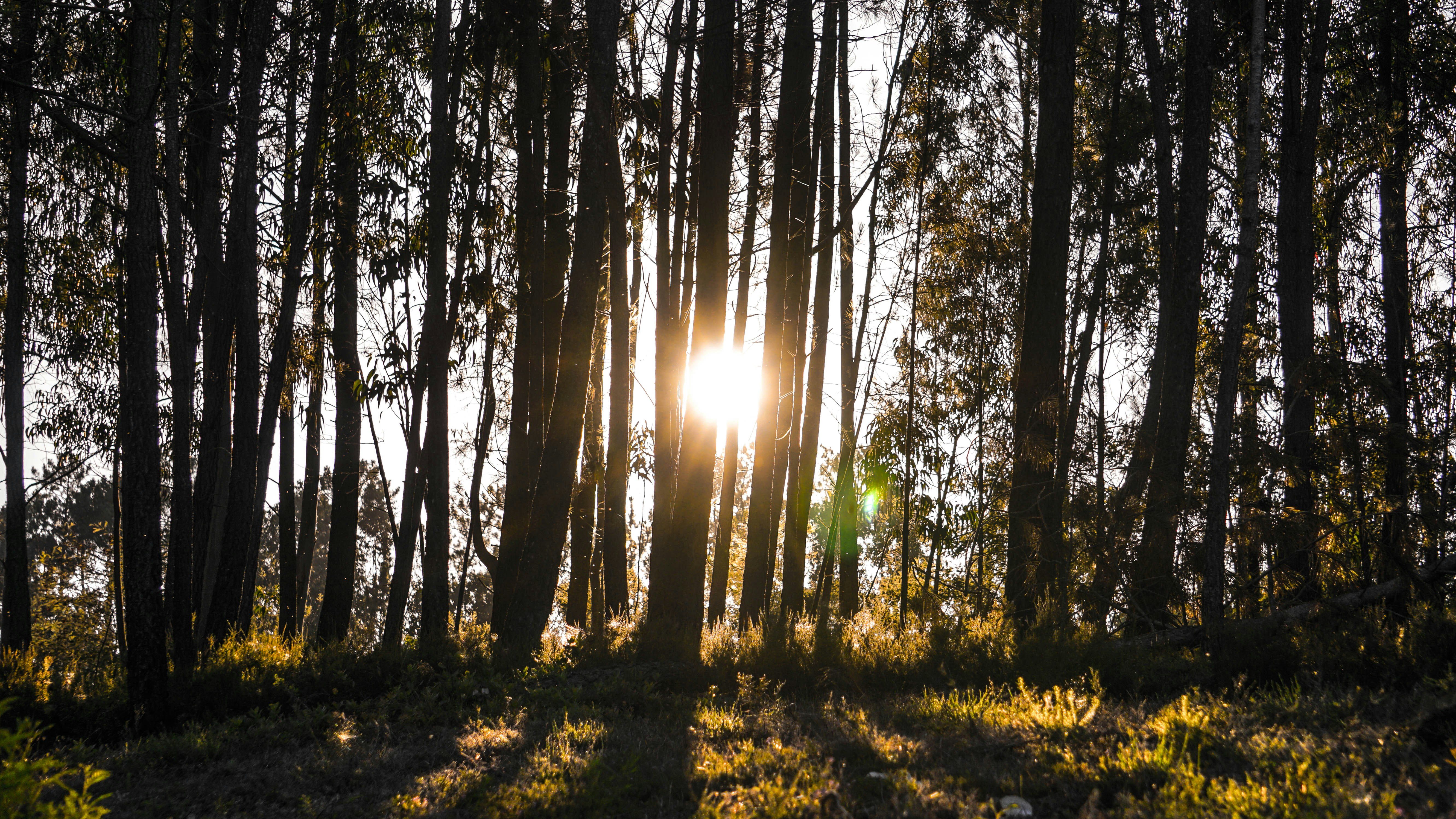 Photo by jose_marques98