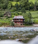 A rustic wooden cabin with a corrugated metal roof is situated amidst lush green foliage on a hillside. The foreground features a bubbling river with visible rocks, and the dense forest dominates the background, providing a serene and natural setting.