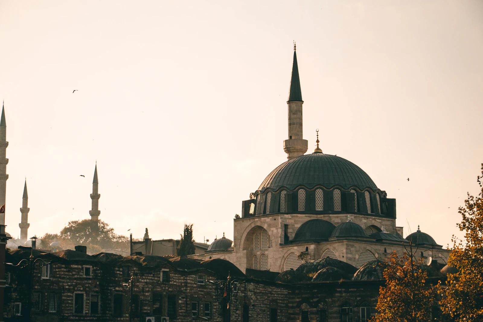 Istanbul's Blue Mosque glowing at golden hour