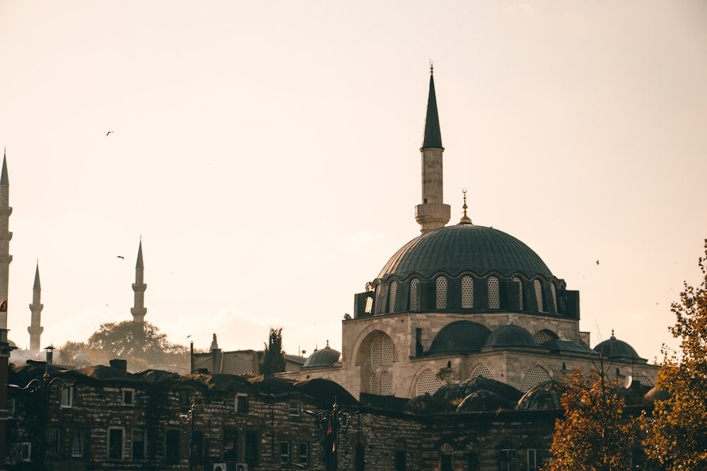 white and blue mosque