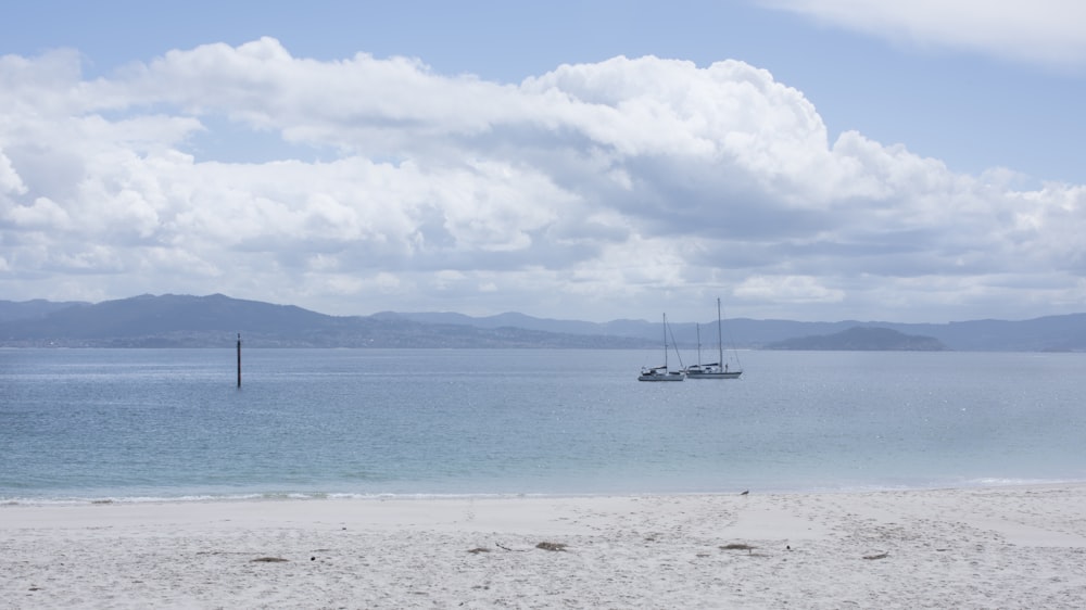 two black boat near seashore during daytime