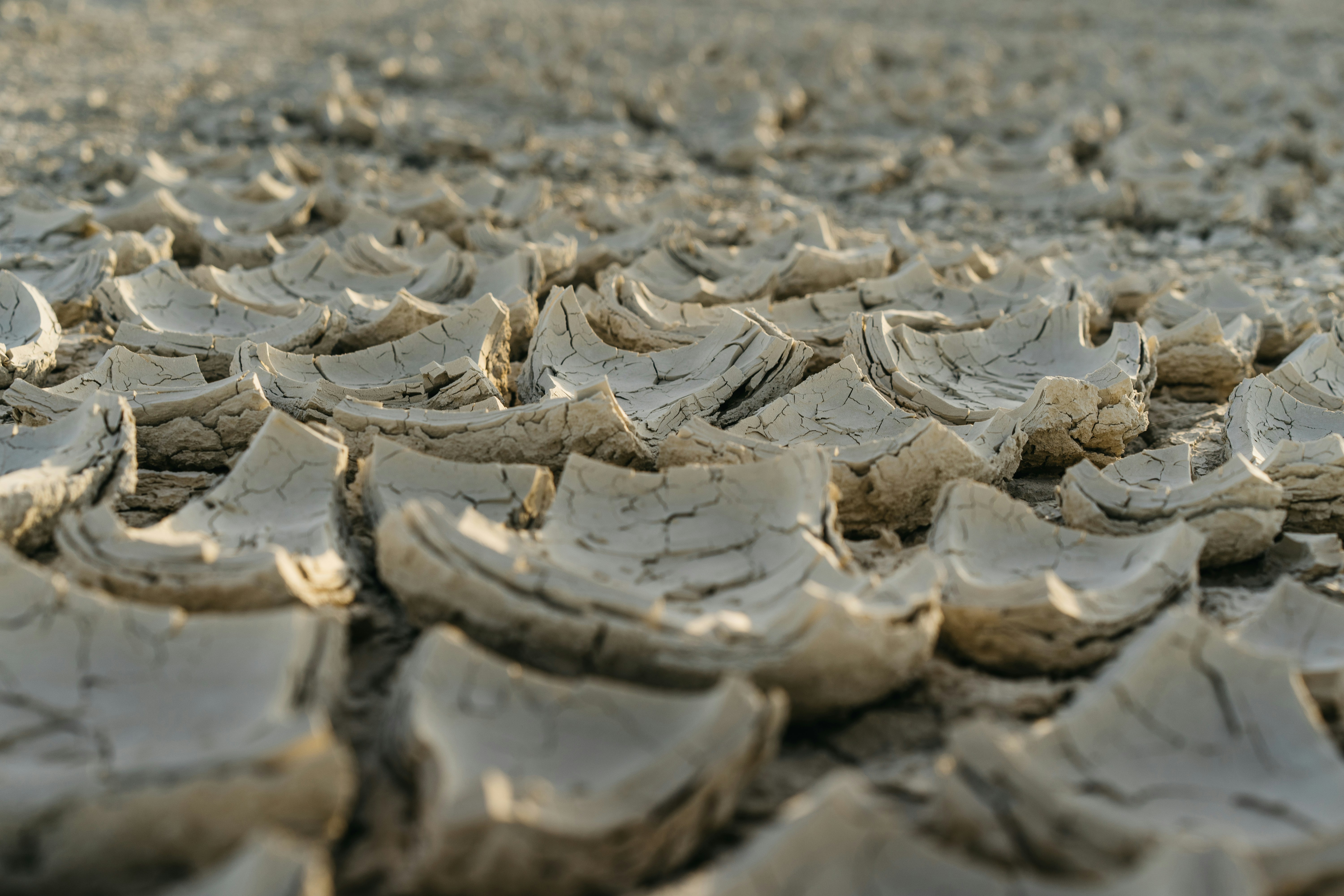 Global Climate Concerns Intensify as Impacts Become More Apparent