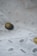 A close-up view of a fabric with a delicate embroidery pattern featuring oval cutouts and stitching on a soft, white background. Two buttons with a sheen, one black and one gold, are sewn onto the fabric, adding subtle contrast.