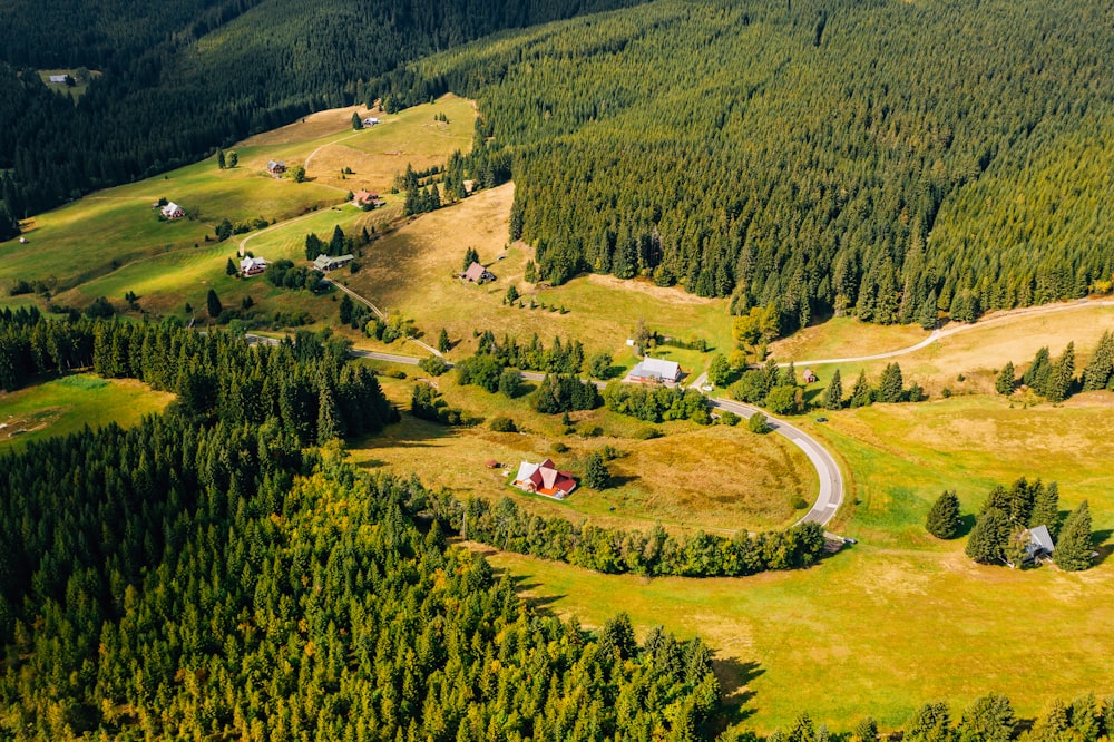 an aerial view of a road winding through a forest