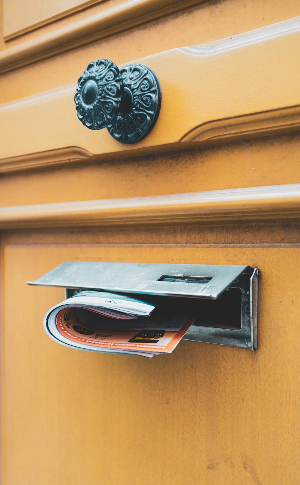 brochure on door's mail slot