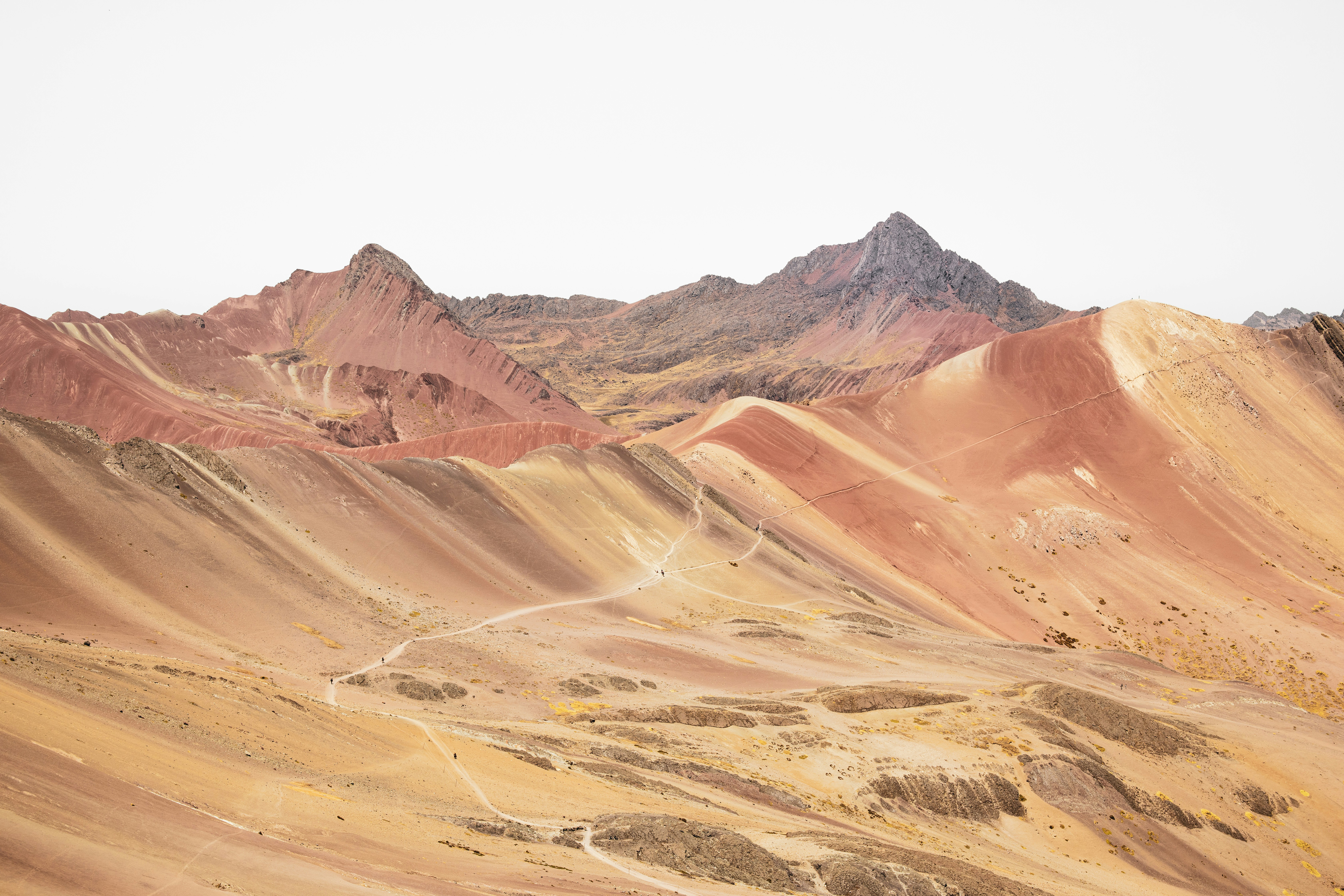 Beautiful Free Images & Pictures | Unsplash