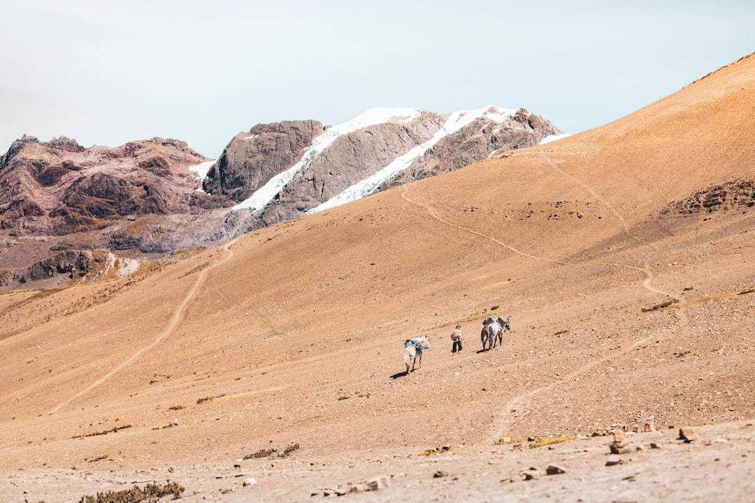 man walking on the desert