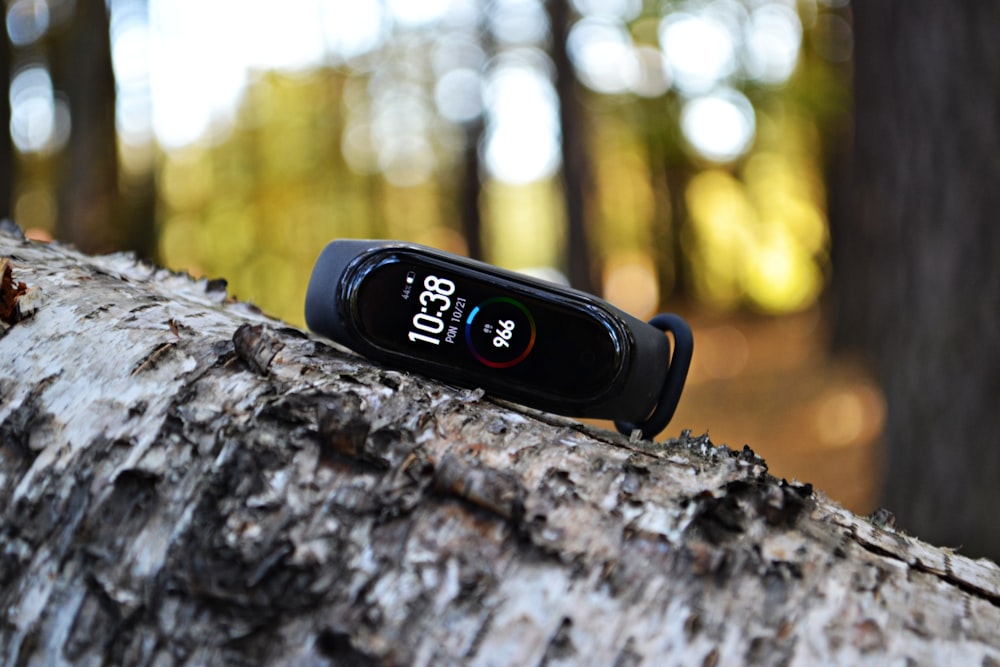 a close up of a thermometer on a tree