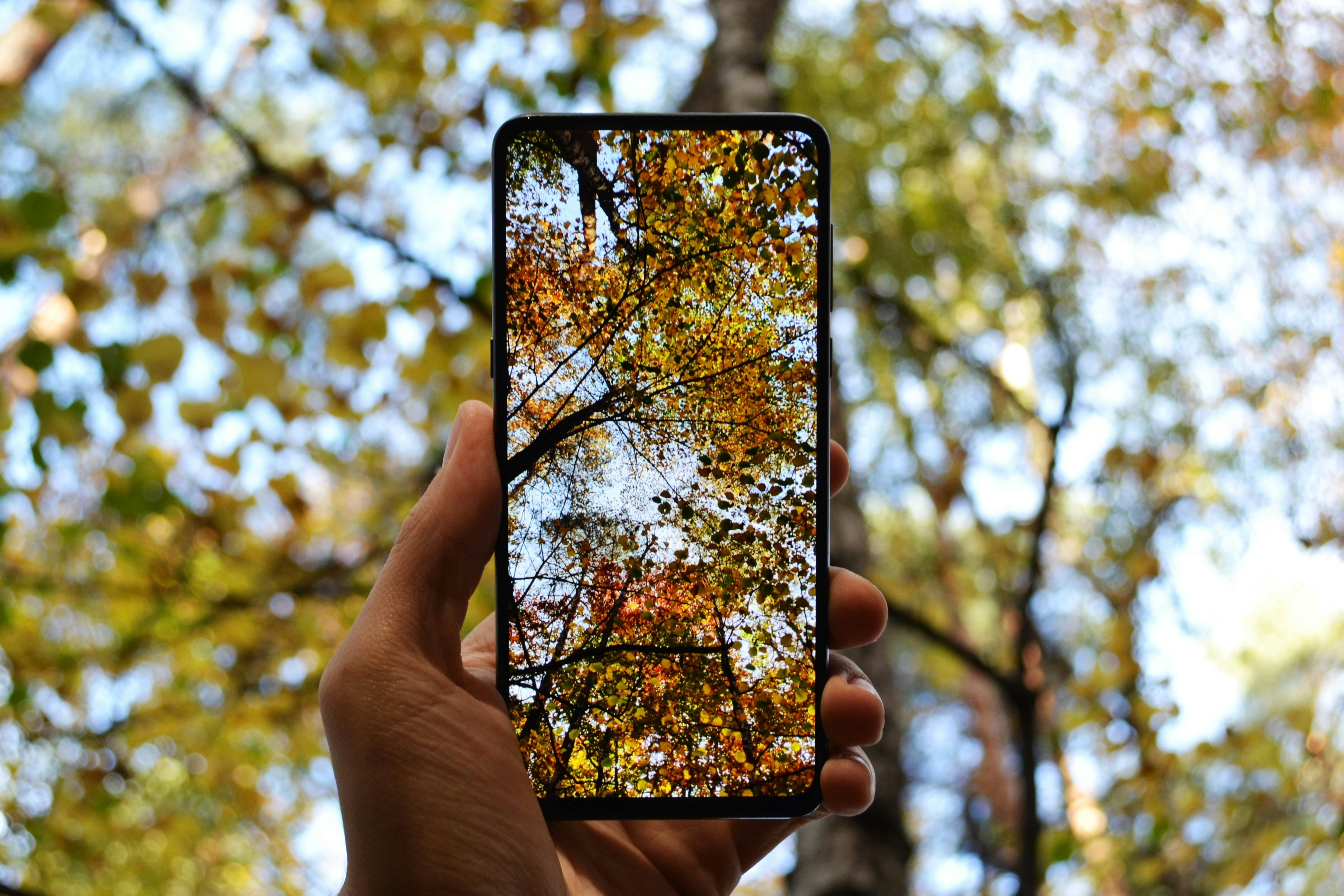 black Android smartphone