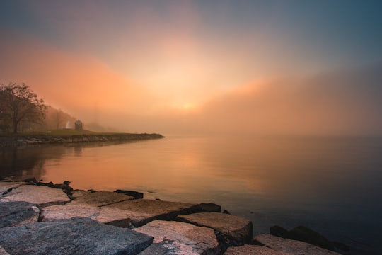 photography of lake near tree in Kingston Canada