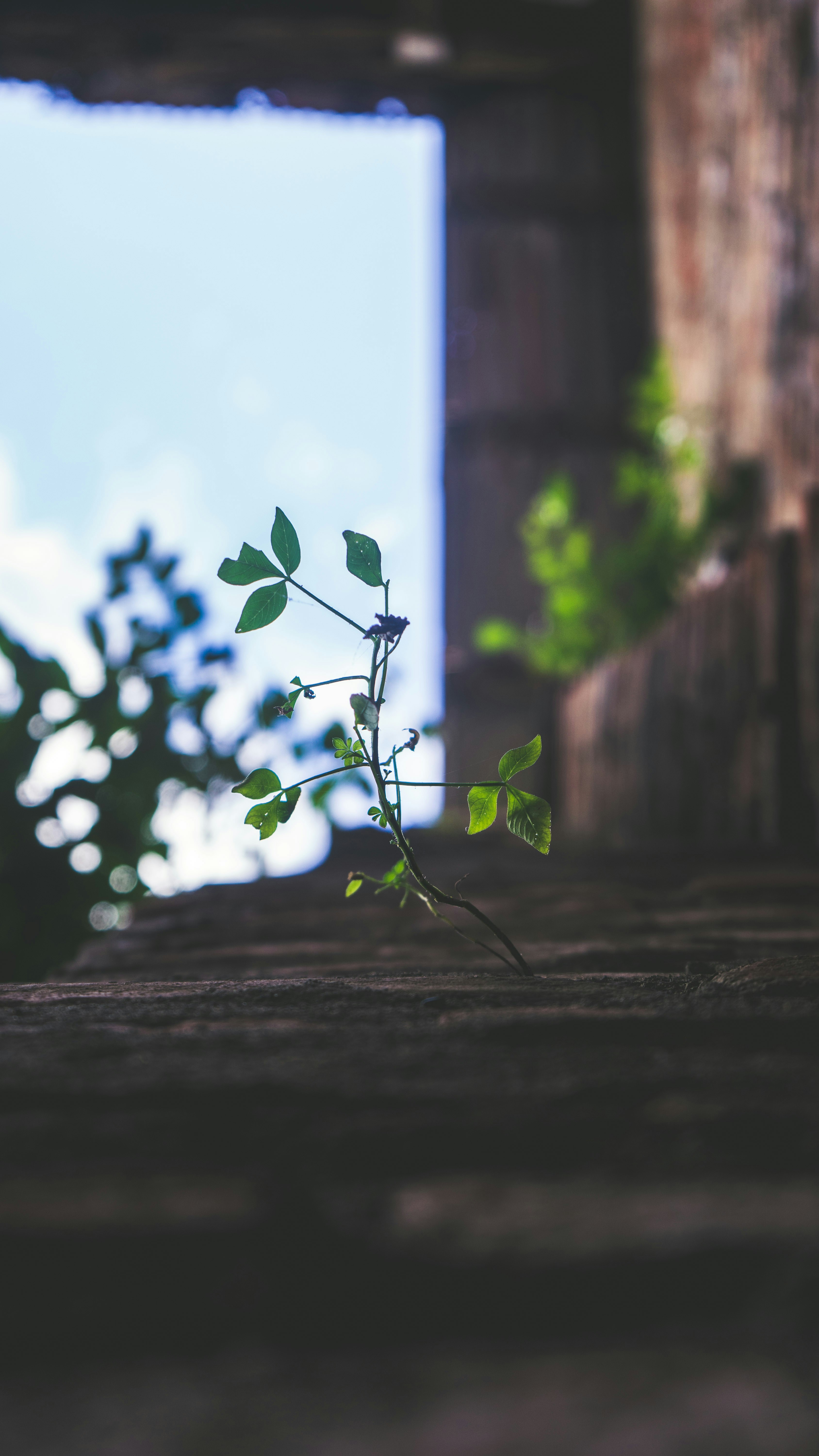 Transformational Self-Discovery Course