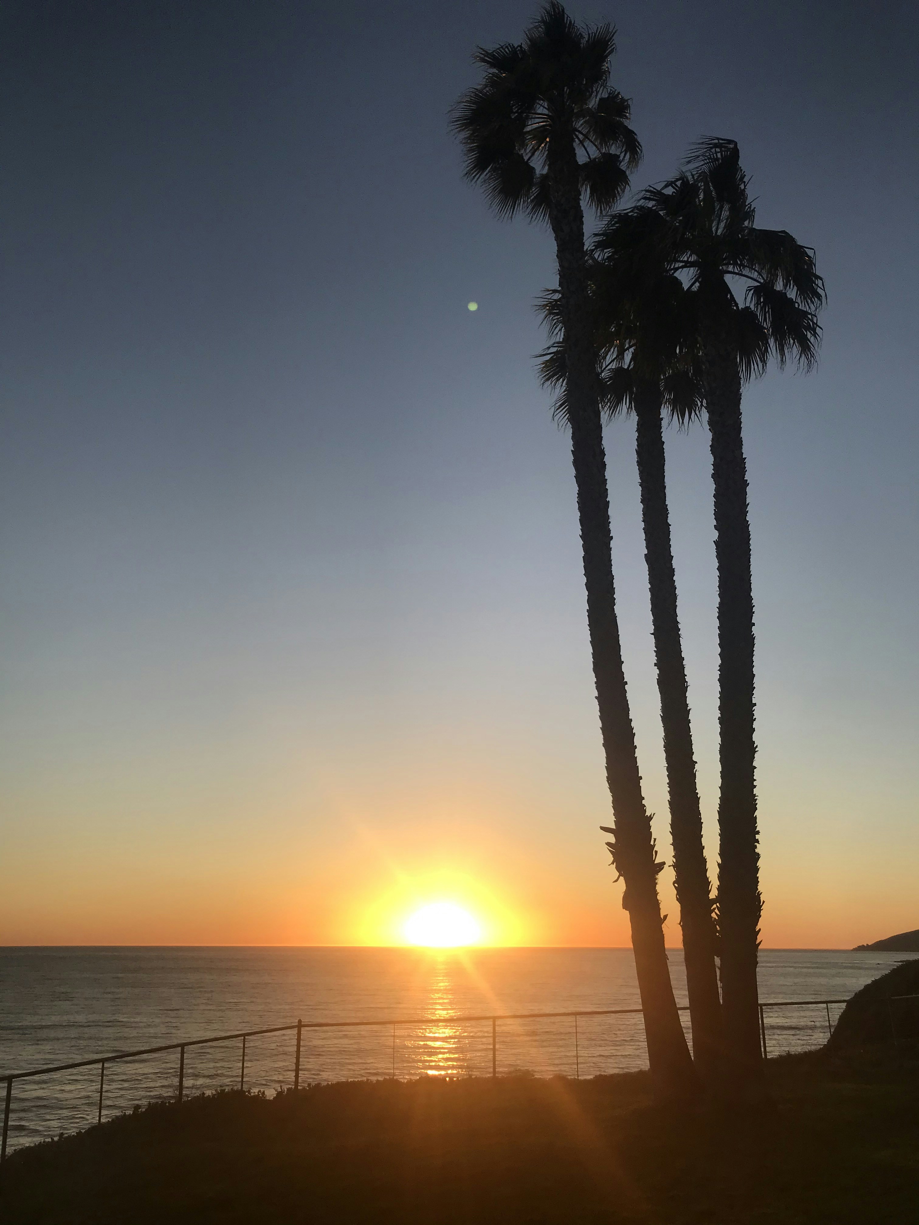 Photo by roses_n_basil