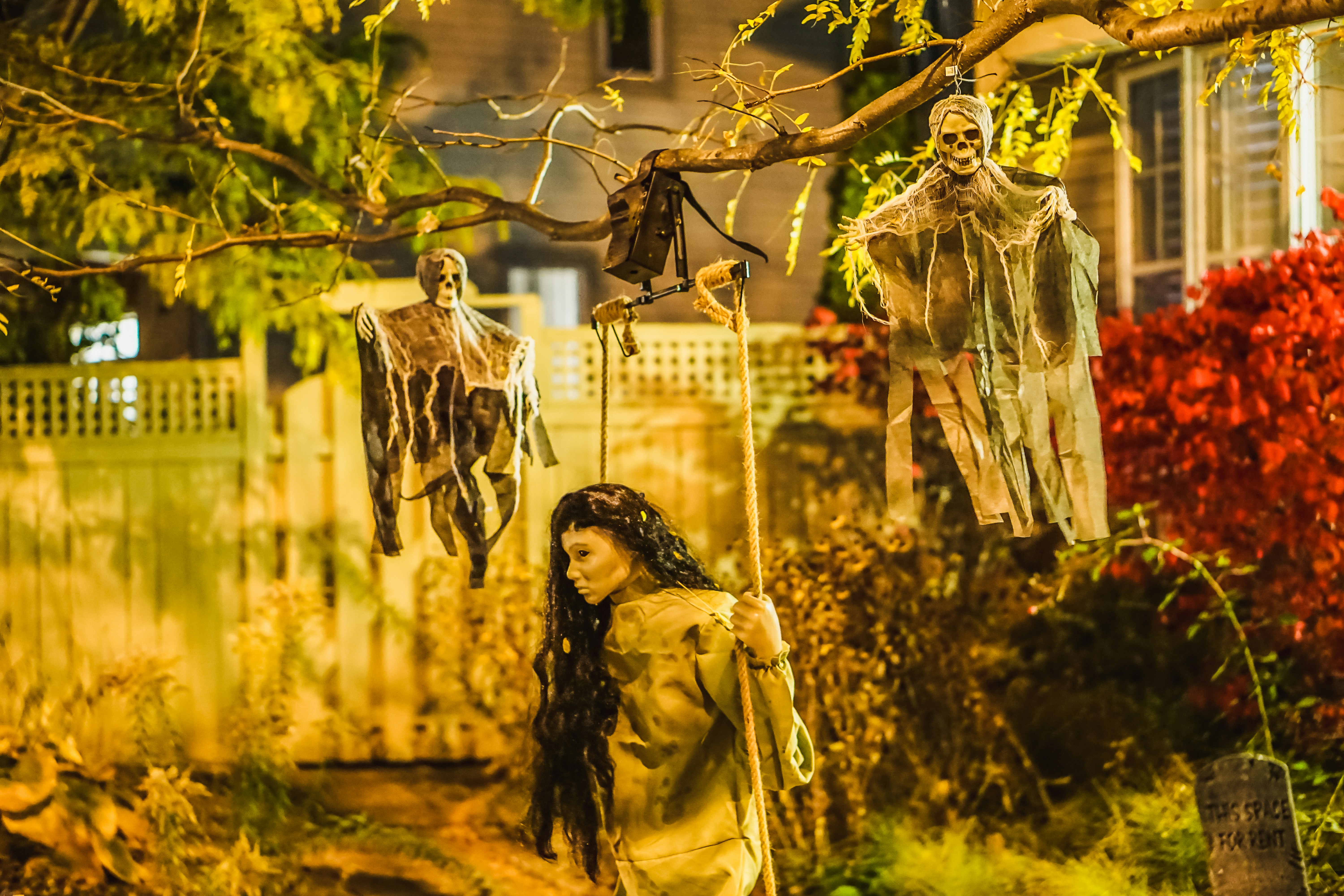 Halloween costume photo Free Ottawa Image on Unsplash