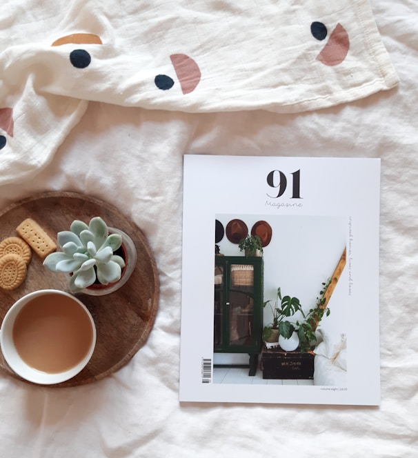 91 brochure beside tray with mug, biscuits, and green succulent plant