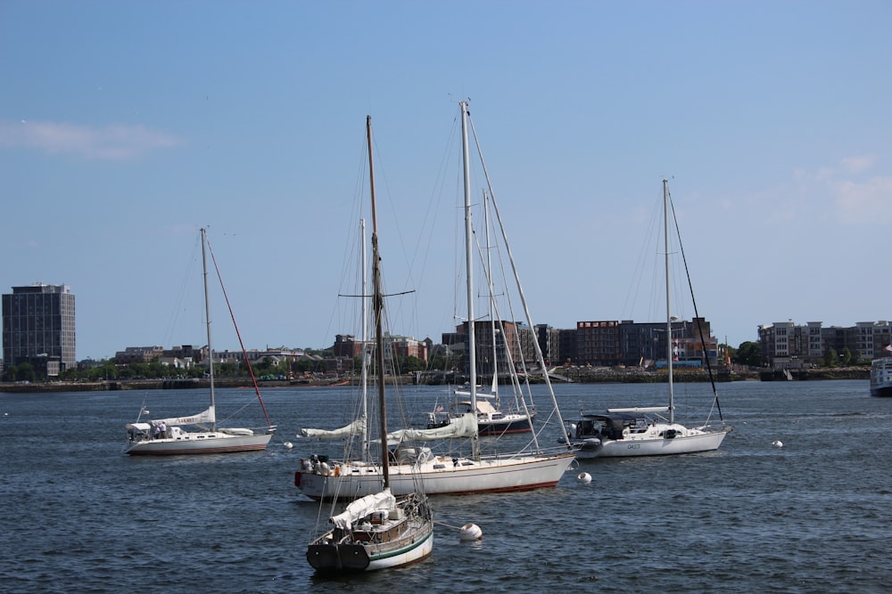 white motorboats on calm body of water