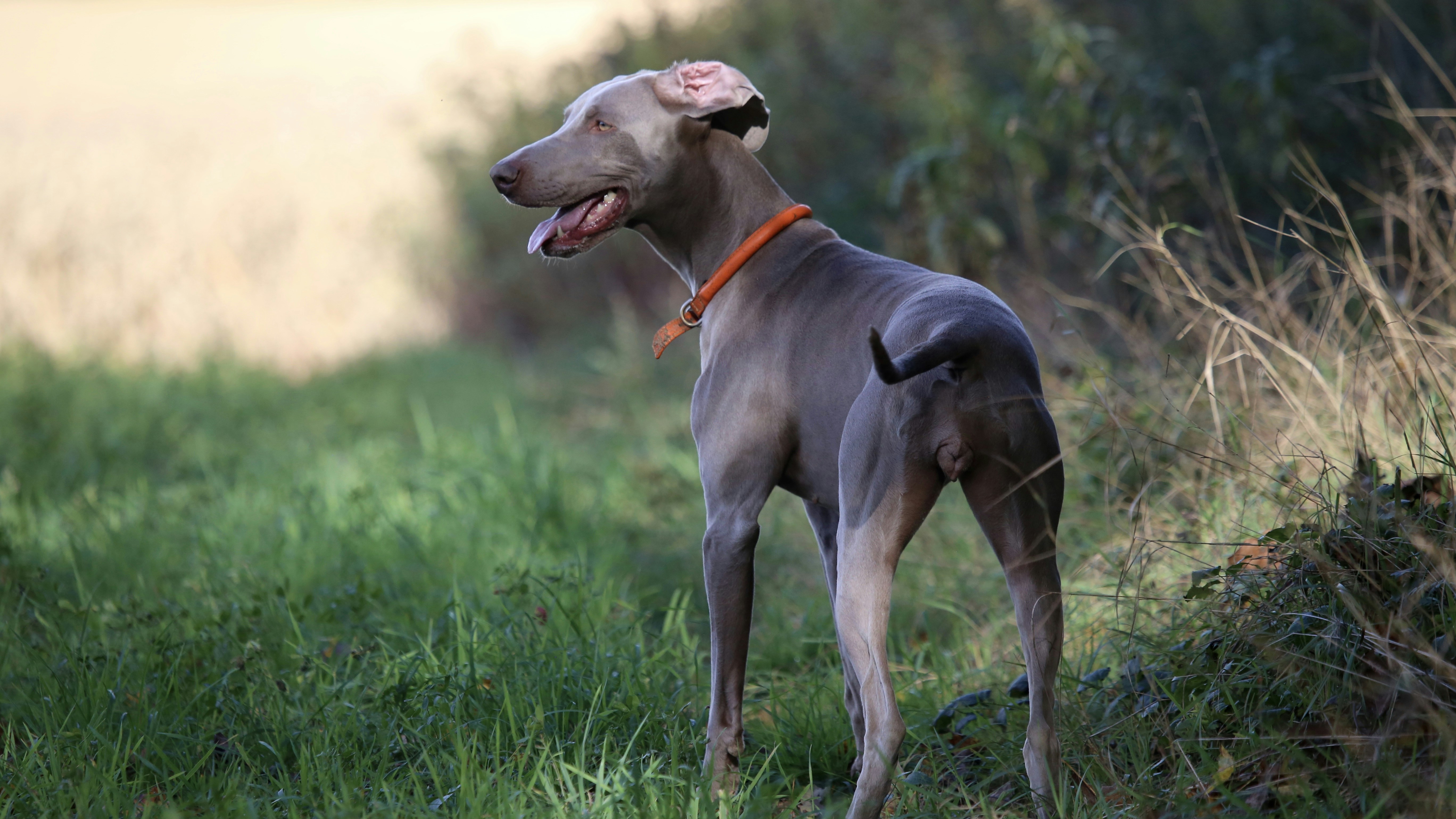 Photo by nathalie_spehner