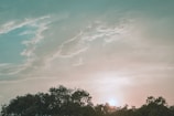A serene landscape with a sunset, symbolizing new beginnings.