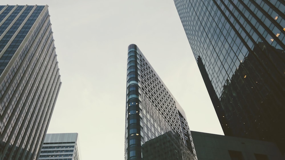 high-rise buildings at daytime